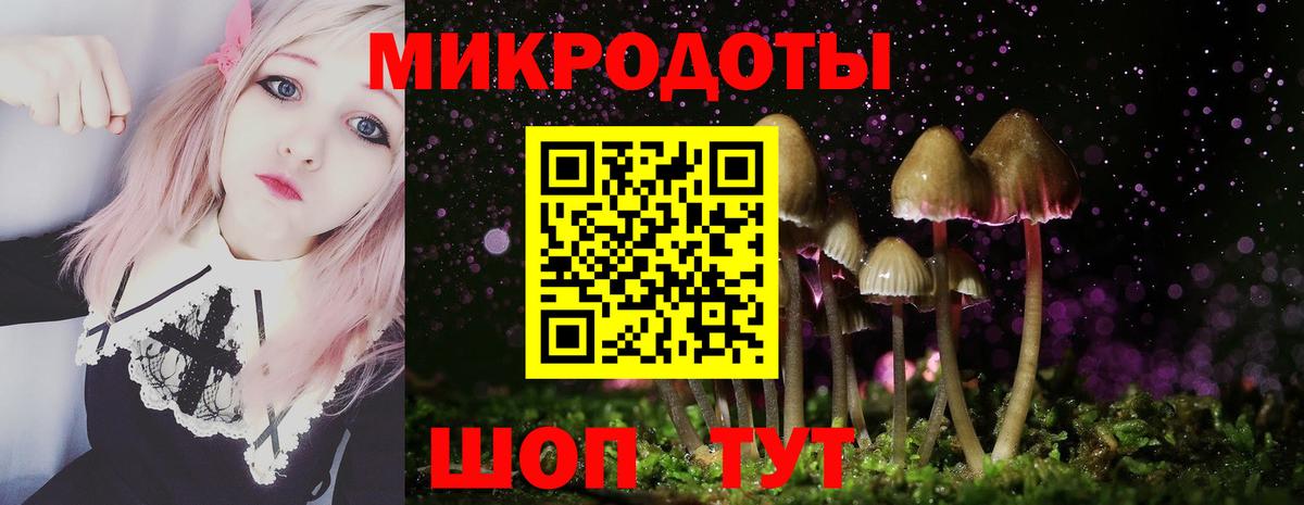 Тихвин  Псилоцибиновые грибы GOLDEN TEACHER  Вход с VPN  Псилоцибиновые грибы мухоморы 